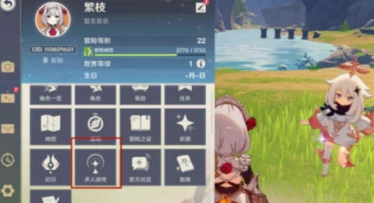 原神能不能联机