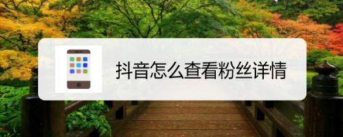 抖音怎么查沉默粉(抖音怎么查数据分析)