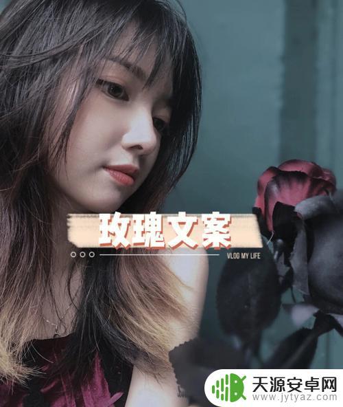 玫瑰女人 抖音文案(玫瑰女人抖音语录)
