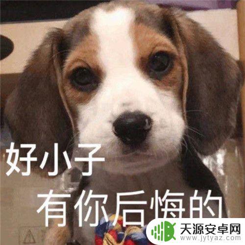 抖音动物表情包意思(抖音动物表情包意思全解图片)