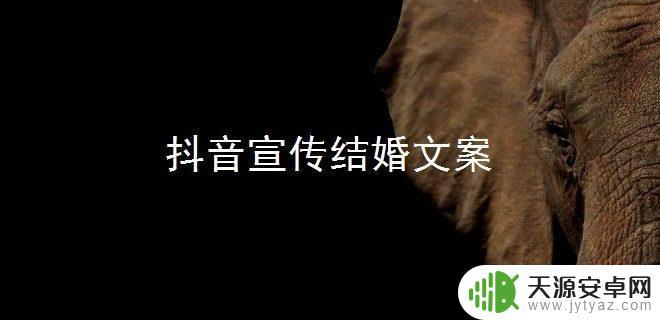 抖音戏曲的文案句子(抖音戏曲文案怎样写)