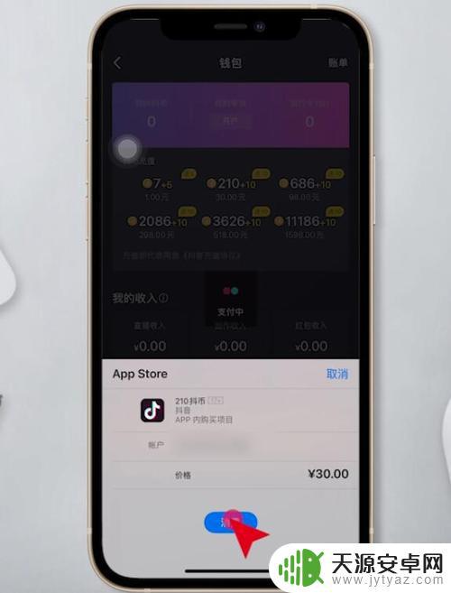 苹果没有抖音支付(苹果没有抖音支付吗)