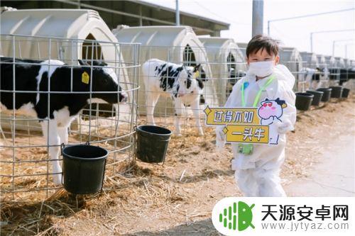 奶牛养殖抖音起名(奶牛养殖抖音起名大全)