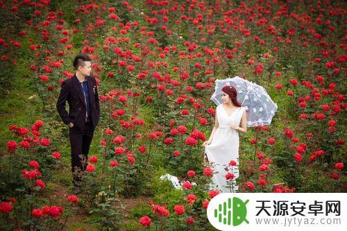 玫瑰花海抖音文案(玫瑰花海的文案)