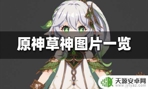 原神草神可以用什么代替?探讨替代草神的可行性和实用性!