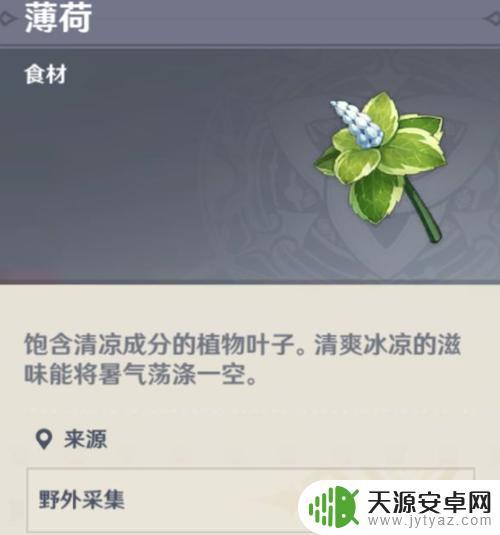 原神薄荷哪里有?(原神在哪找薄荷)