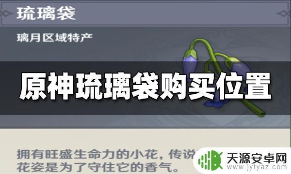 原神琉璃袋在哪里购买？快来这里购买最新款琉璃袋啦！