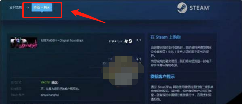 steam不能微信支付怎么办(steam不可以微信支付)
