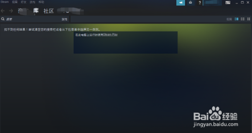 steam 流式传输 设置