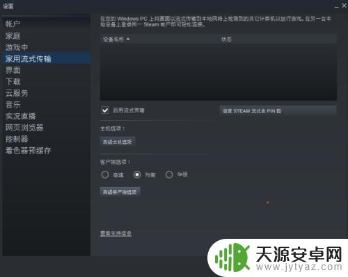 steam 流式传输 设置