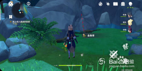 原神怎么找金鱼草(原神怎么找金鱼草仙灵)
