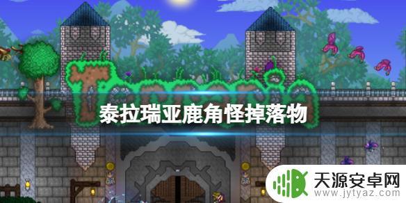 鹿角怪泰拉瑞亚掉落物：如何获取鹿角怪护身符？
