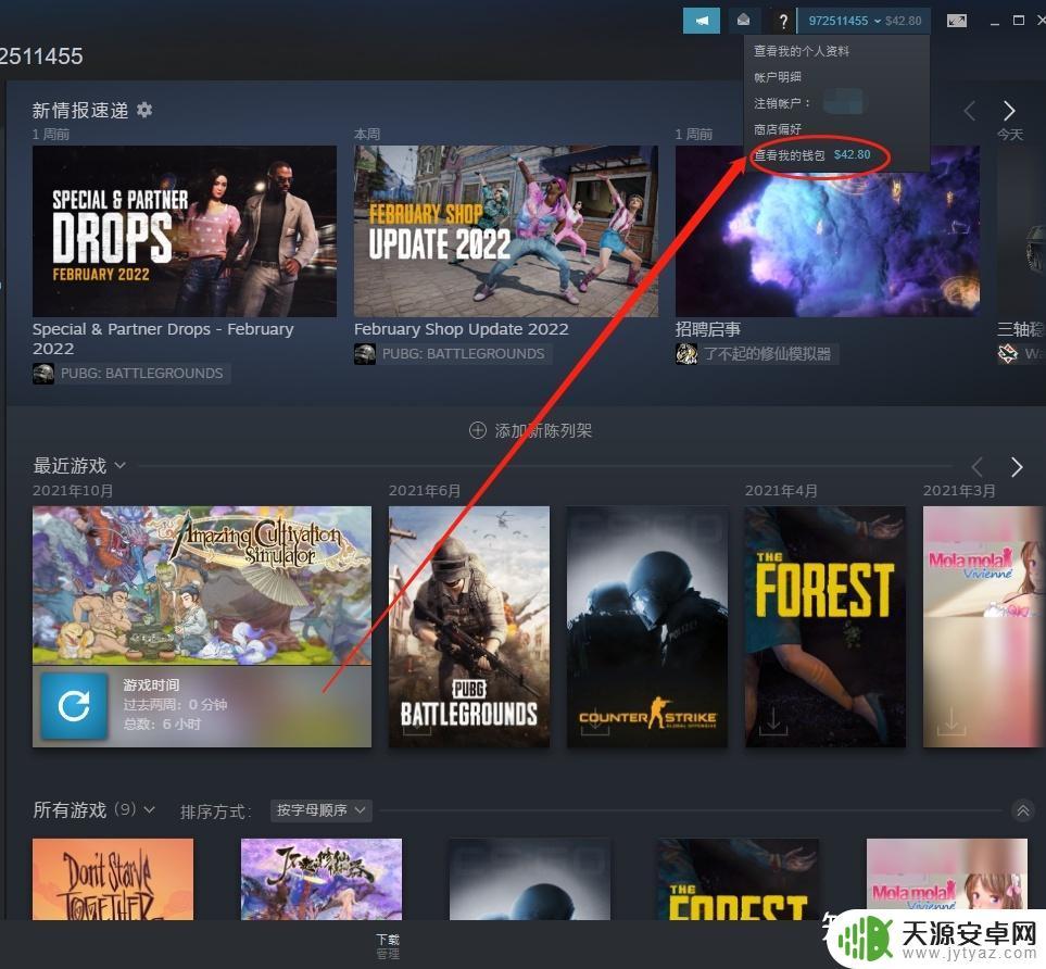 Steam游戏礼品卡怎么使用?完整使用指南