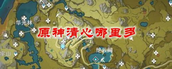 原神哪里清心最多(原神那里清心最多)