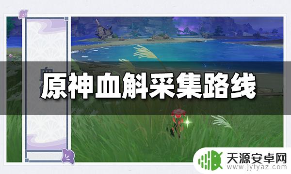 原神除了稻妻哪里有血斛(原神那里有血斛)