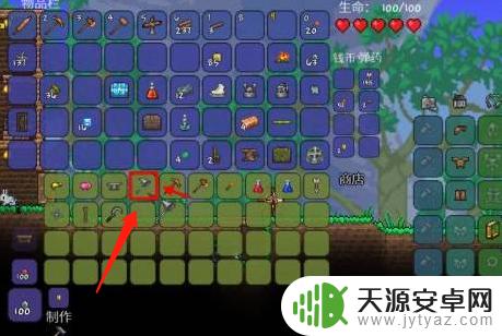 泰拉瑞亚网兜在哪个npc?答案揭晓,赶快了解!