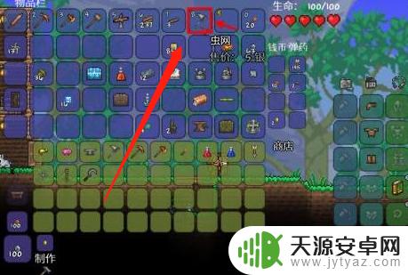 泰拉瑞亚网兜在哪个npc?答案揭晓,赶快了解!