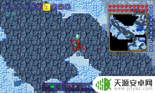 泰拉瑞亚怎么快速刷冰龟?5个有效方法告诉你!
