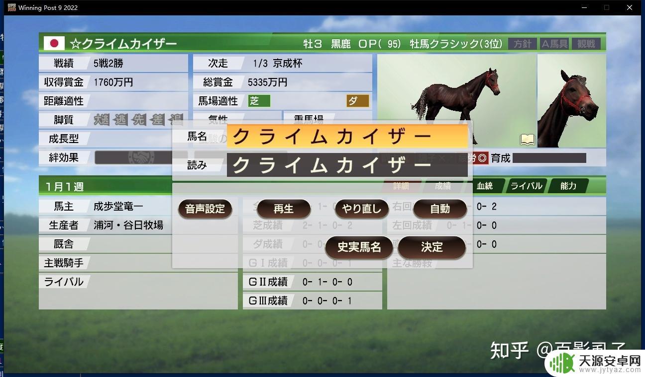 赛马大亨9steam版怎么打开(赛马大亨9steam)