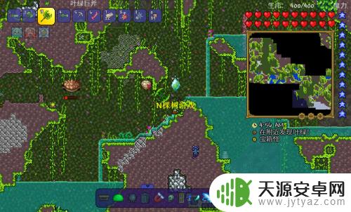 泰拉瑞亚蜂王坐骑获取方法及技巧分享