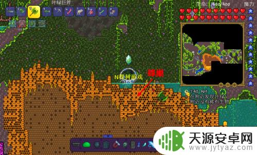 泰拉瑞亚蜂王坐骑获取方法及技巧分享