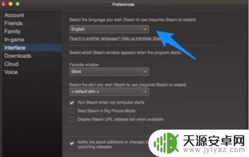 haydee怎么设置中文steam？详细教程一步到位