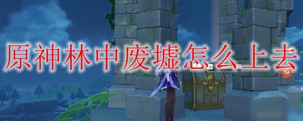 原神废墟怎么上去？教你三种简单有效的上墟方法！