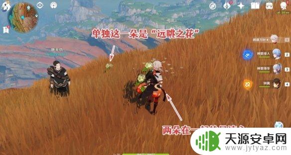 原神大侠往事：解密大侠何在的密码和位置！