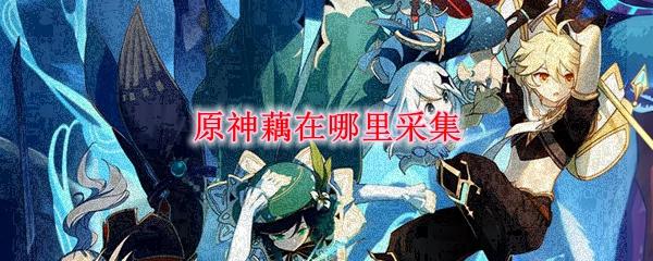 原神哪里面可以找到莲藕(原神哪里能找到莲藕)