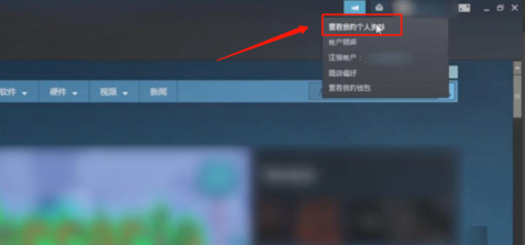 Steam怎么看交易URL？教你轻松找到自己的Steam交易链接