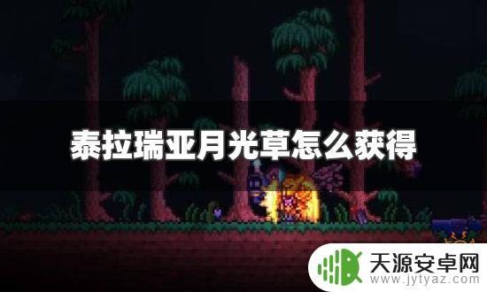 泰拉瑞亚怎么免费获取月光?教你轻松获取!