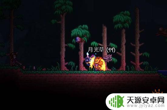 泰拉瑞亚怎么免费获取月光?教你轻松获取!