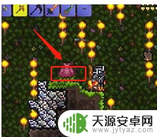 标题:泰拉瑞亚如何快速的刷新之花?5种有效方法解析