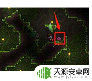 标题:泰拉瑞亚如何快速的刷新之花?5种有效方法解析