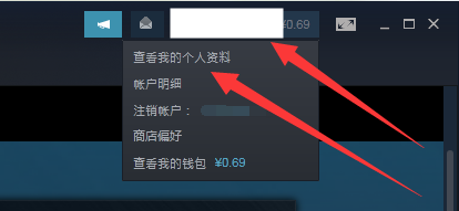 Steam怎么不让好友看到你正在玩哪款游戏?