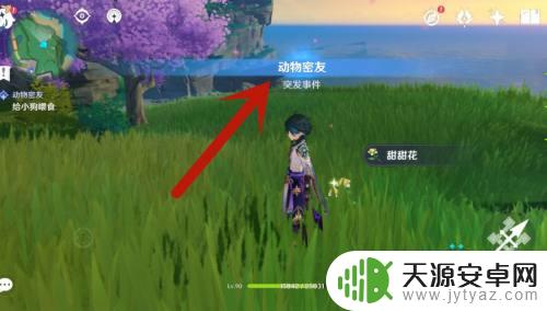 原神哥哥怎么养狗狗?学习这些技巧让你的狗狗更健康快乐!