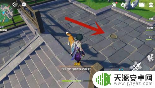 原神哥哥怎么养狗狗?学习这些技巧让你的狗狗更健康快乐!