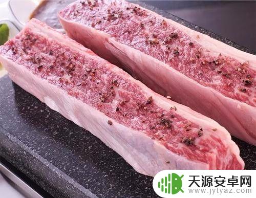 Steam方舟:南巨怎么驯服?知道这些技巧轻松搞定!