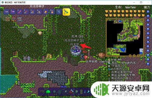泰拉瑞亚矿物药水怎么获得?了解这个游戏的终极秘密!