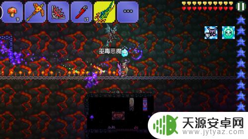 泰拉瑞亚巫婆娃娃:如何获得和使用?