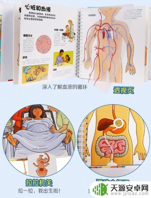 幼儿园STEAM科学实验:9个简单有趣的STEAM实验!