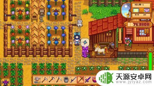 Steam女性游戏推荐:打造属于女玩家的游戏天堂!