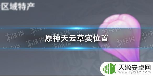 原神雷神突破天云草实攻略，让你轻松突破！