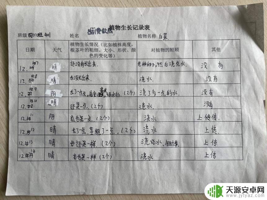 Steam温室种植:如何实现高效、环保的农业生产?