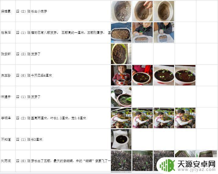 Steam温室种植:如何实现高效、环保的农业生产?