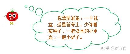 Steam温室种植:如何实现高效、环保的农业生产?
