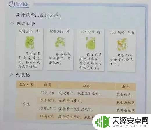 Steam温室种植:如何实现高效、环保的农业生产?