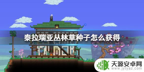 泰拉瑞亚怎么获得丛林种？详细教程分享！