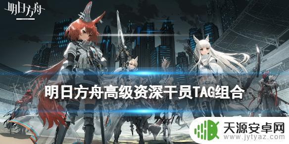明日方舟高姿tag表，全网最全攻略分享！