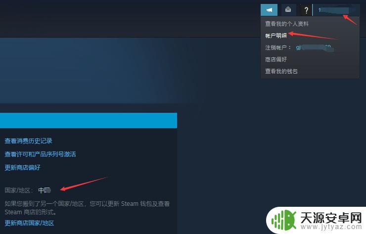 黑色沙漠steam中文 黑色沙漠steam汉化版下载及安装教程